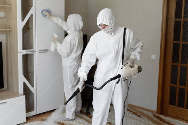 Mold Removal Process in Green Bay, WI